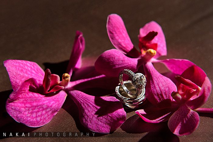 ED-nakaiphotography-37