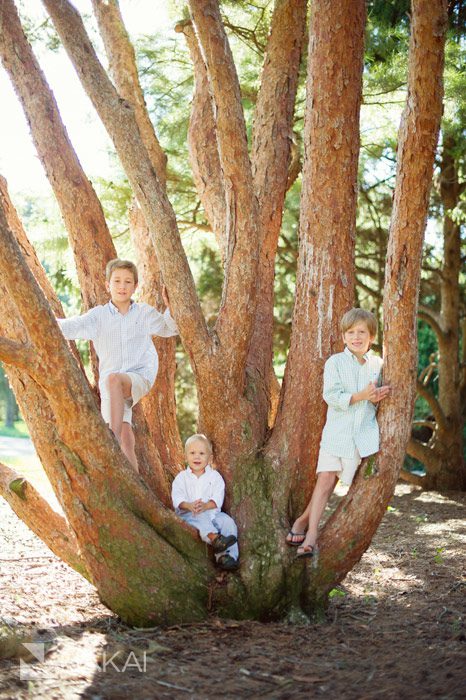 morton arboretum family pictures tree