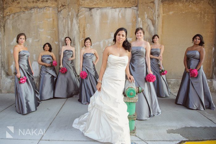 oak park wedding photo bridal party