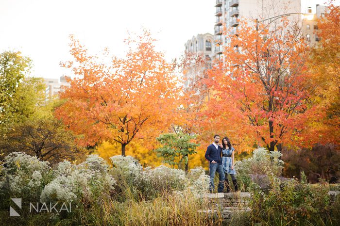 chicago lincoln park fall engagement picture