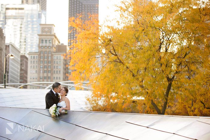 chicago millennium park wedding photo fall autumn