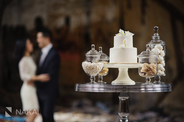 beautiful ruins cake cookies engagement picture