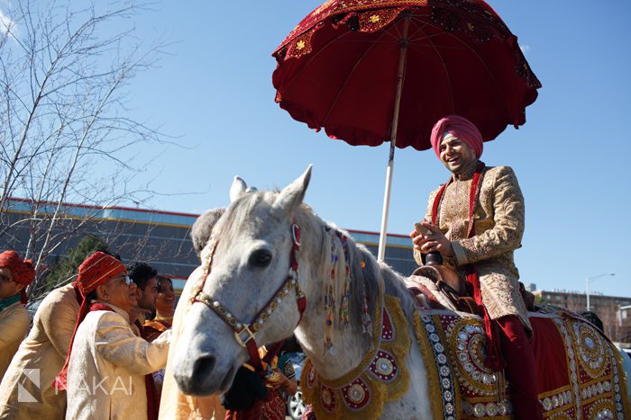 chicago hindu barat white horse