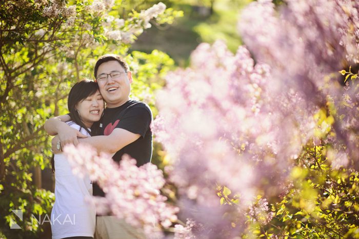 harvard arboretum boston engagement photo flower tree