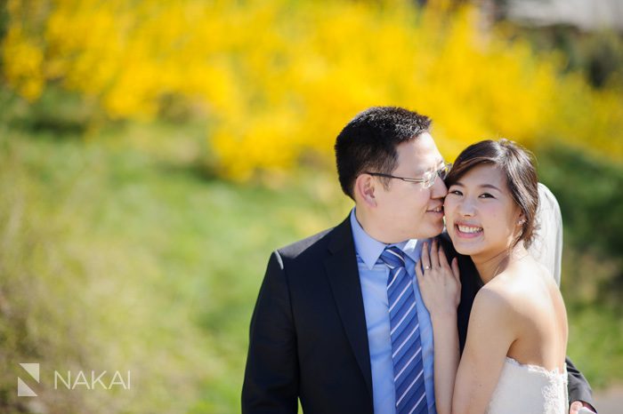 harvard arboretum boston tree wedding photo