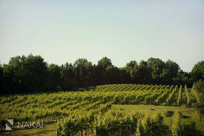 michigan winery engagement photos