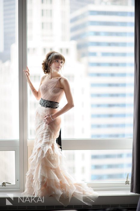 blush vera wang wedding gown picture dress