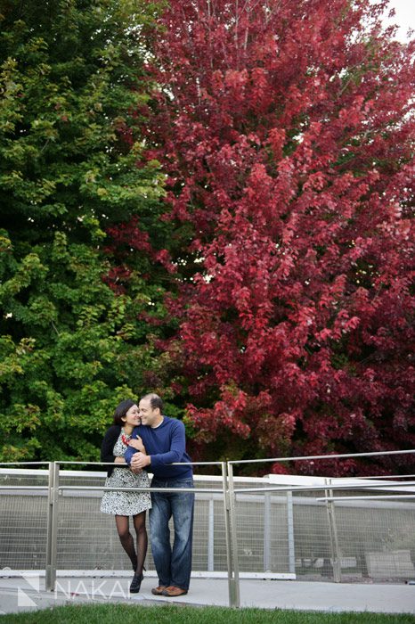 chicago fall engagement picture