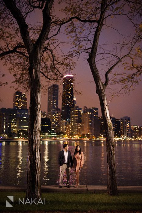 chicago skyline night engagement photo olive park