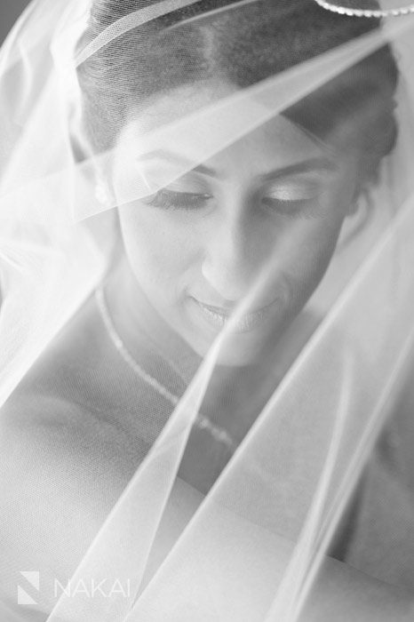 tt-chicago-indian-wedding-photographer-nakai-005