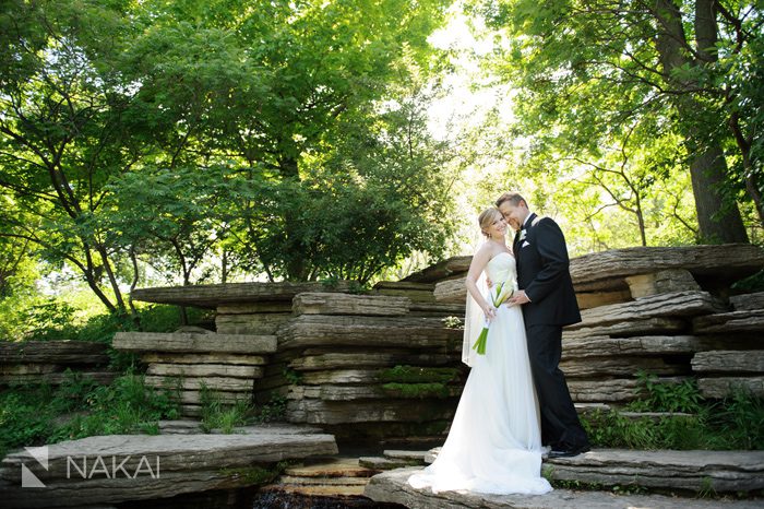 chicago lily pond wedding pictures