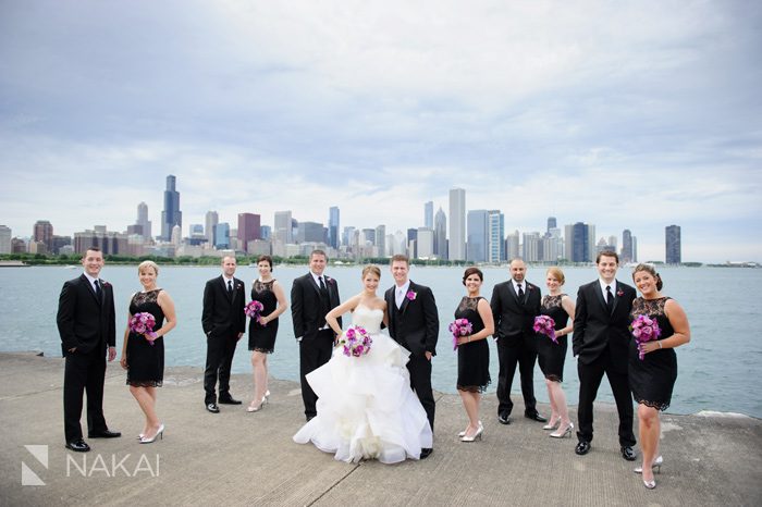 chicago skyline adler lake wedding photo