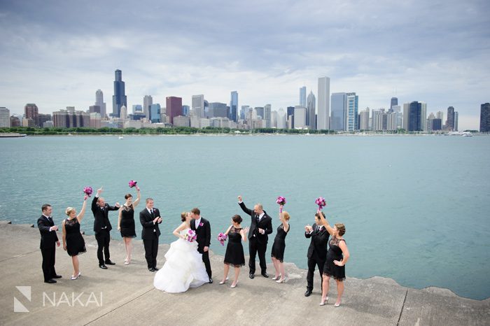 chicago skyline adler lake wedding picture