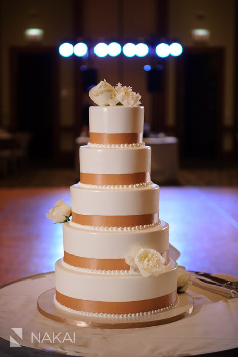 westin chicago north shore wedding reception photo