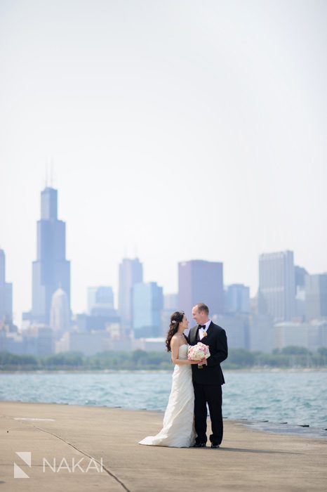 adler planetarium wedding photo