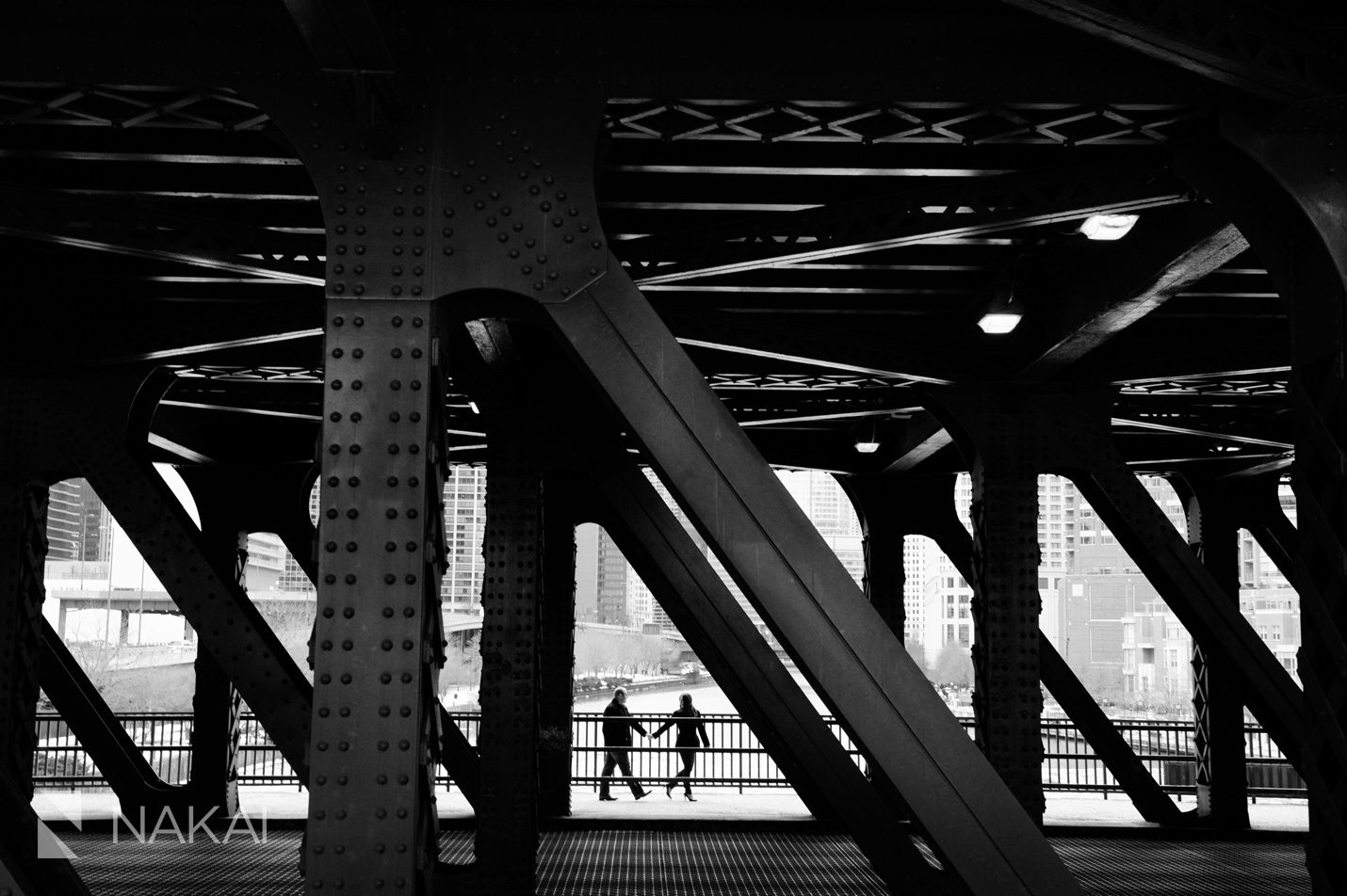 chicago engagement photographer photo