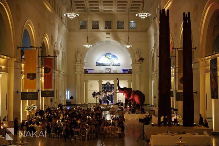 field museum wedding photographer chicago