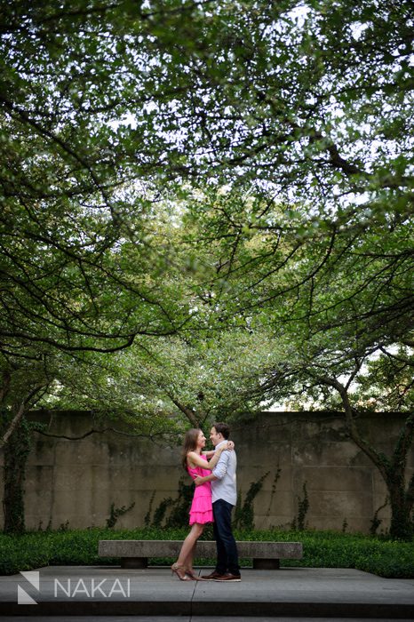 chicago art institute engagement photographer