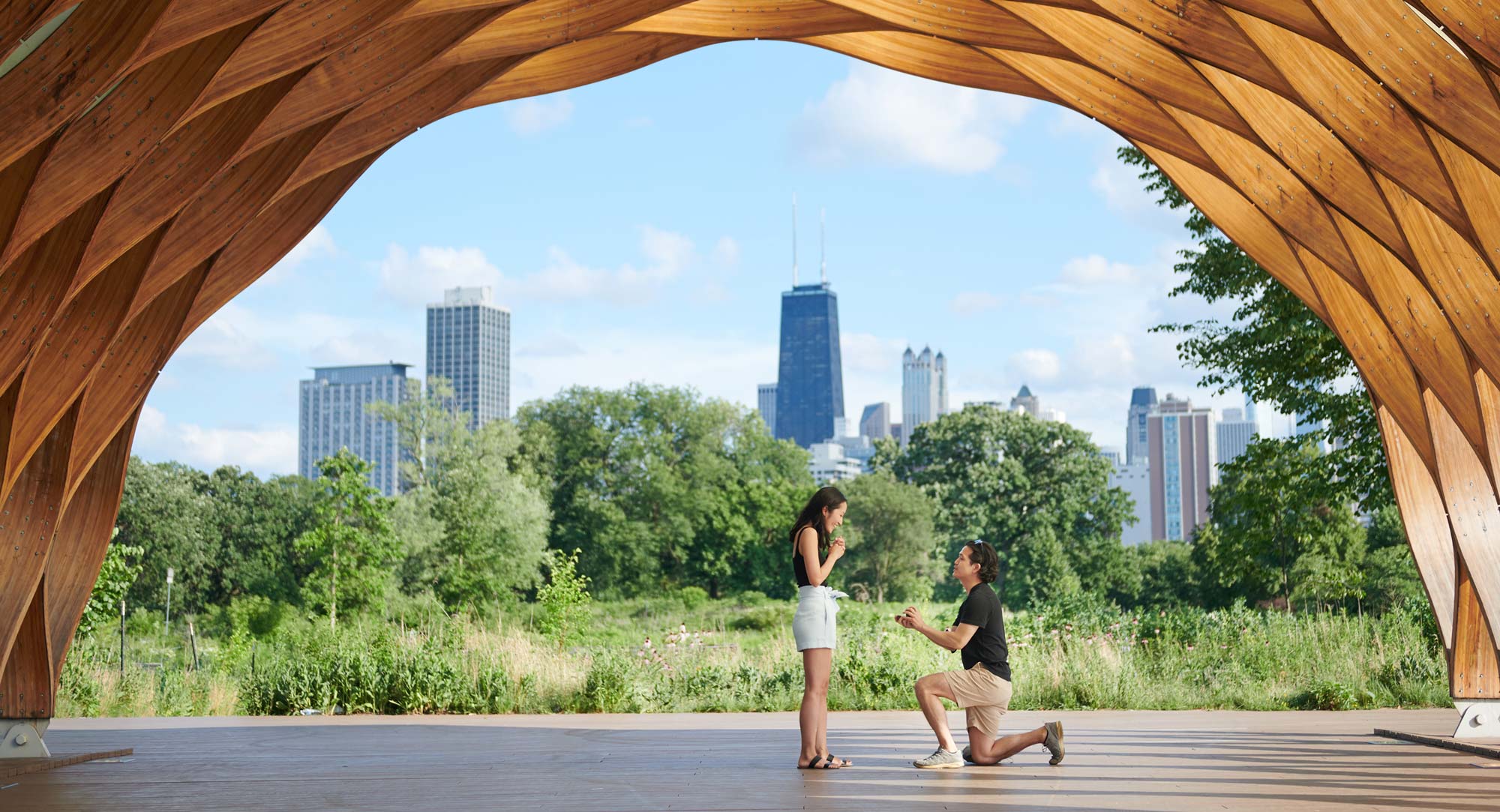 lincoln park honeycomb proposal photo, on bended knee with skyline