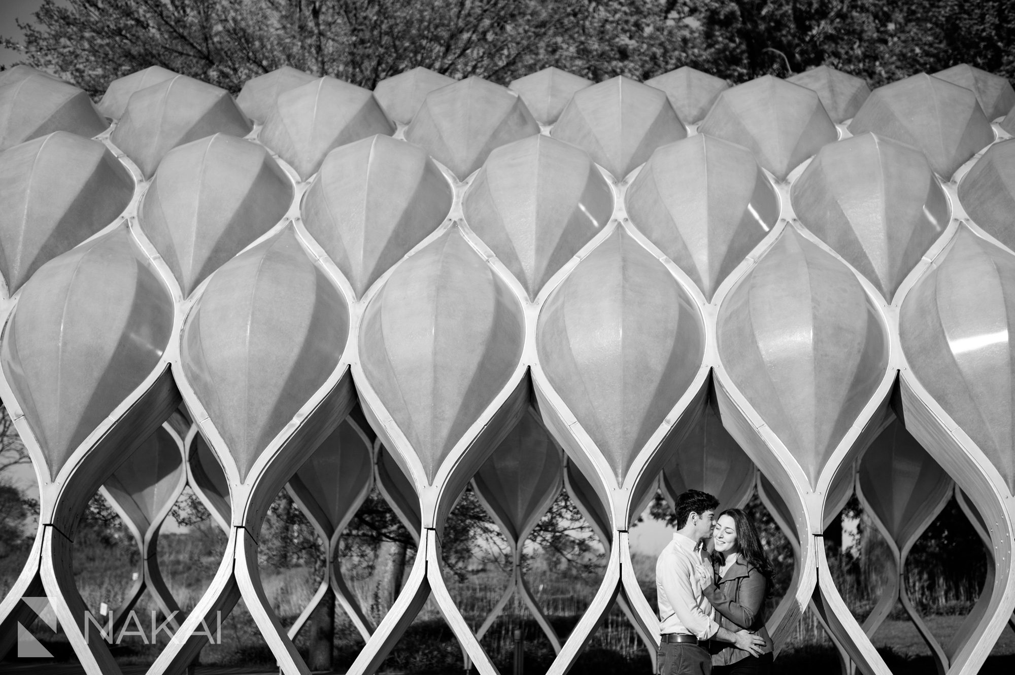 honeycomb lincoln park engagement photo chicago photographer
