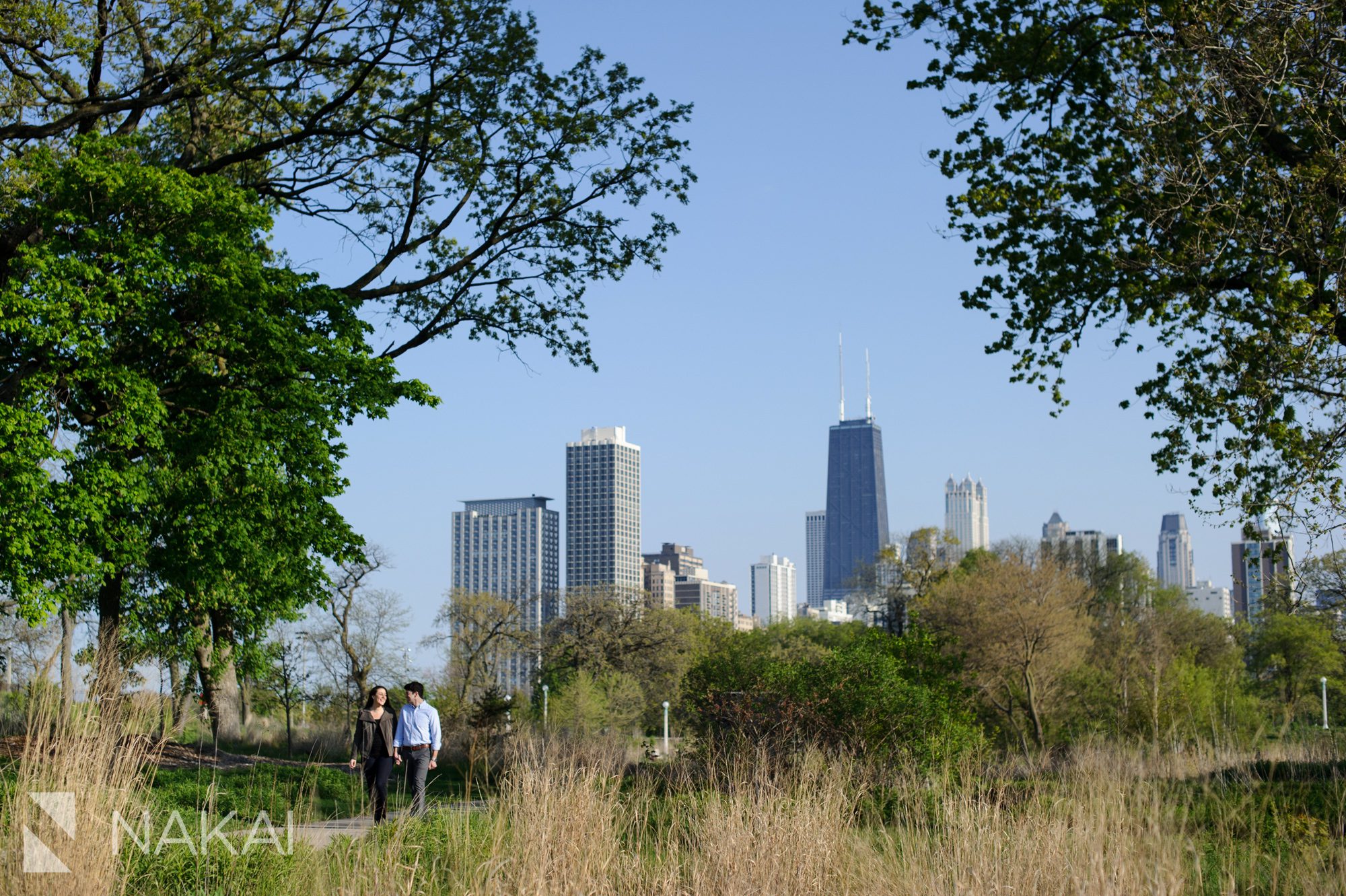 lincoln park engagement photo chicago photographer