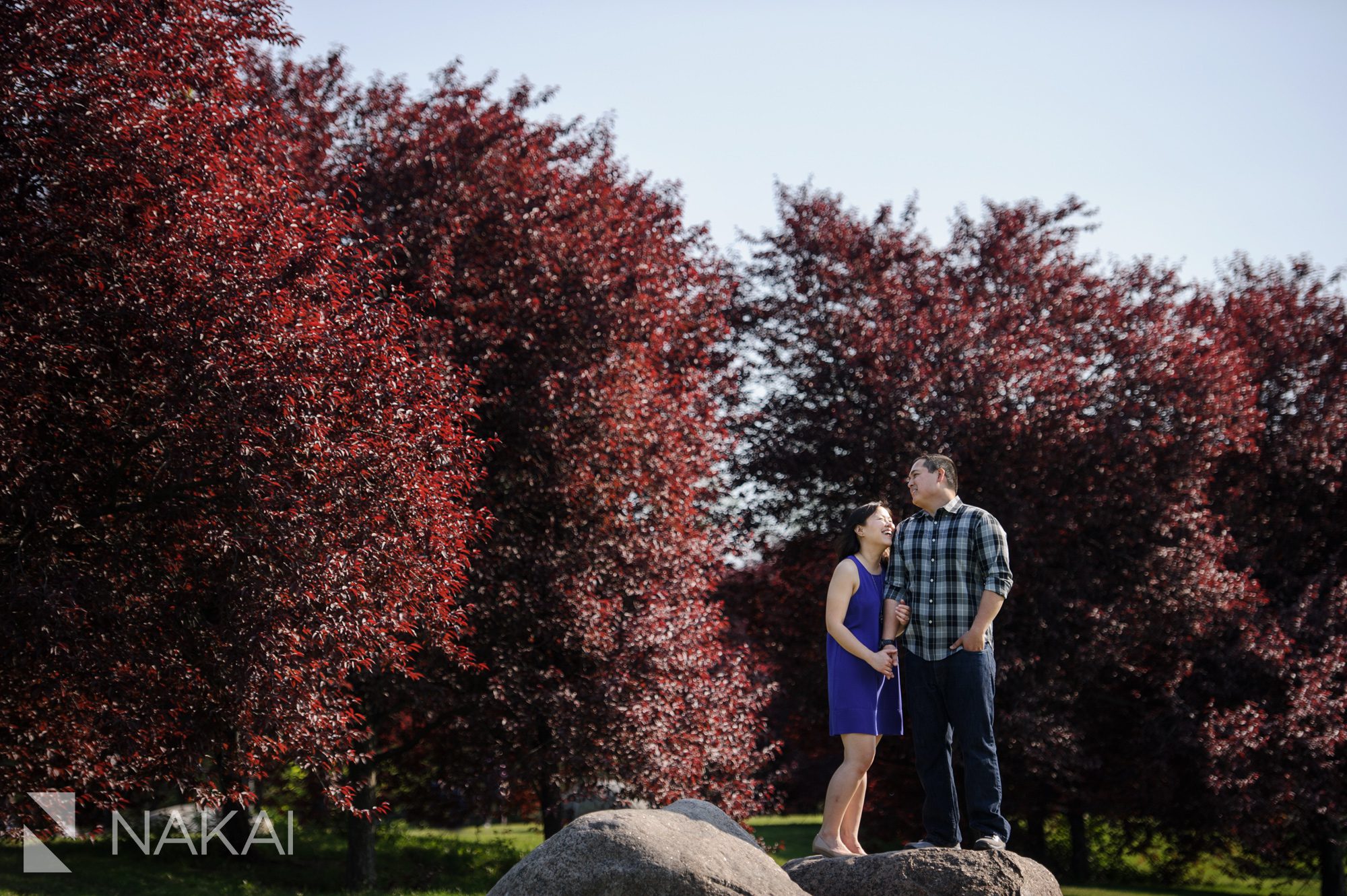 artistic chicago engagement photos trees