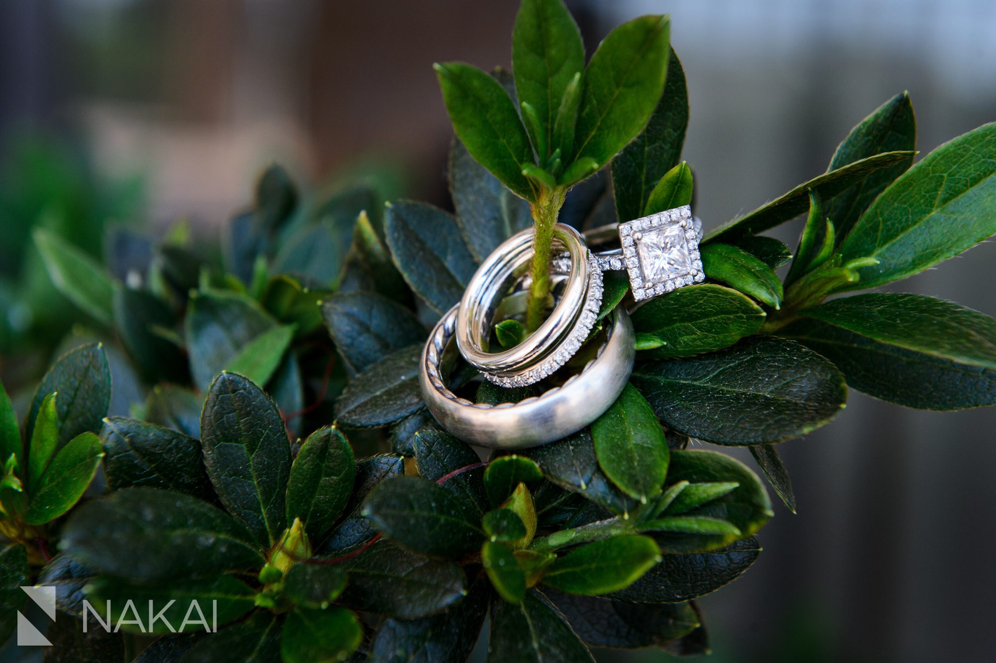 chicago-destination-wedding-photographer-nakai-photography-004