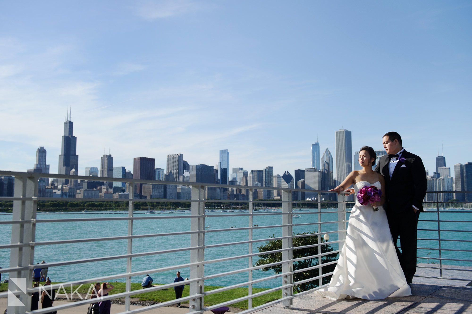 adler planetarium wedding photographer museum