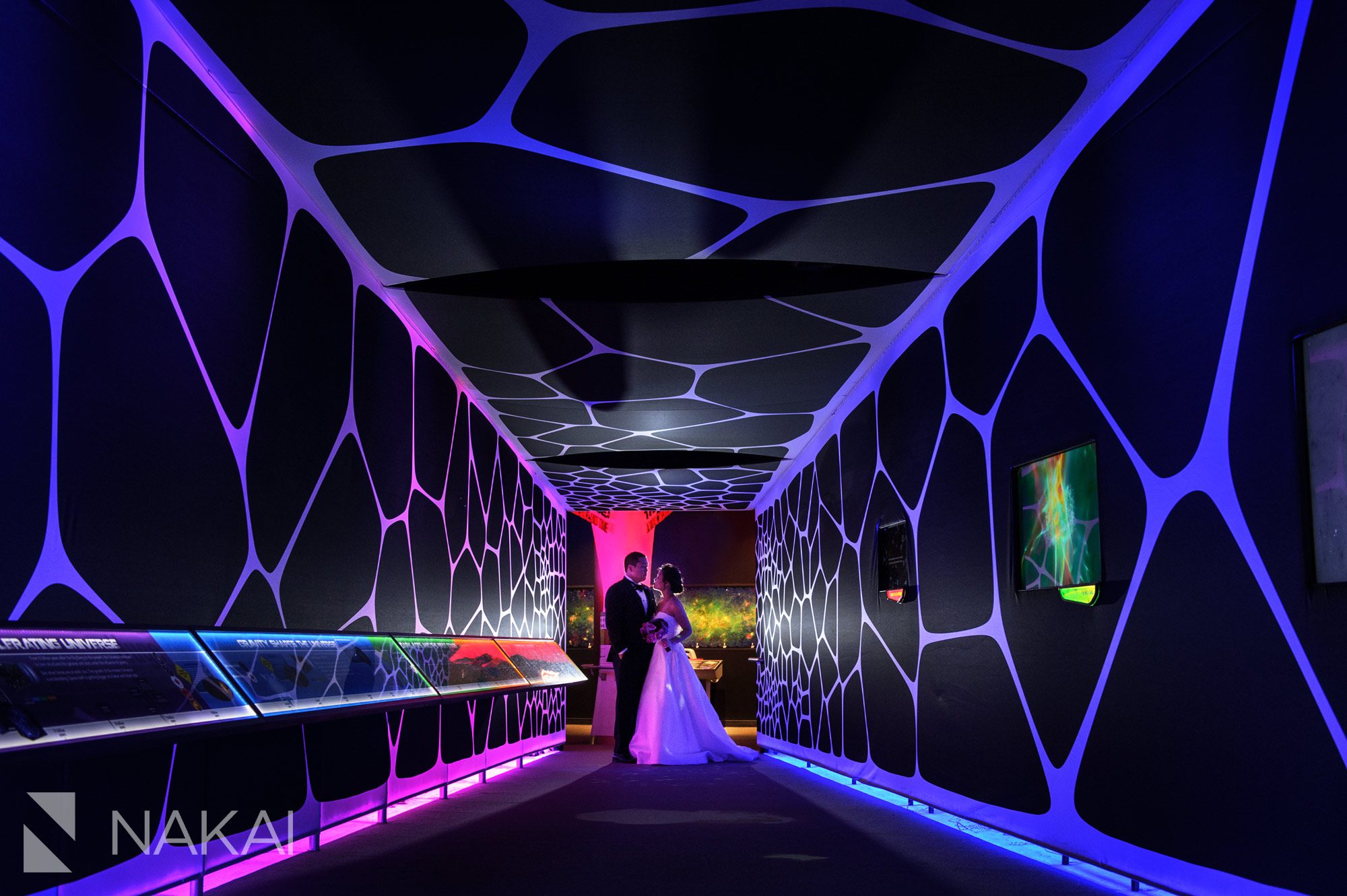 adler planetarium wedding photographer