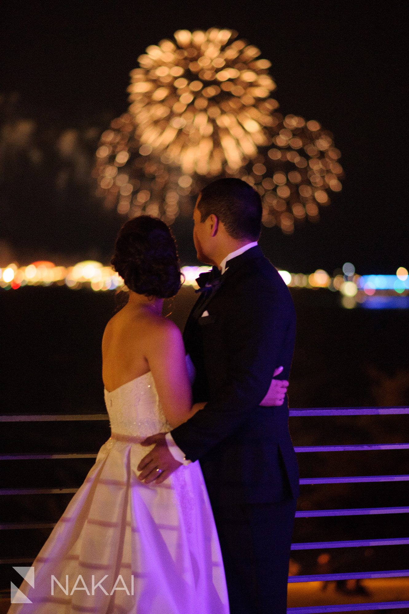 chicago wedding fireworks adler planetarium pictures