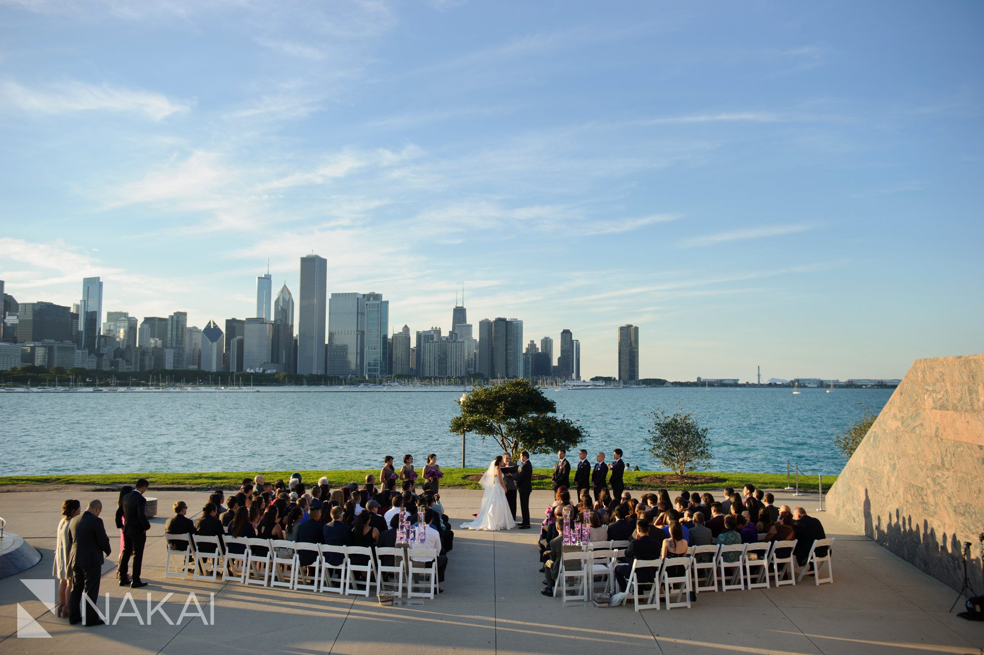 adler planetarium wedding photographer museum