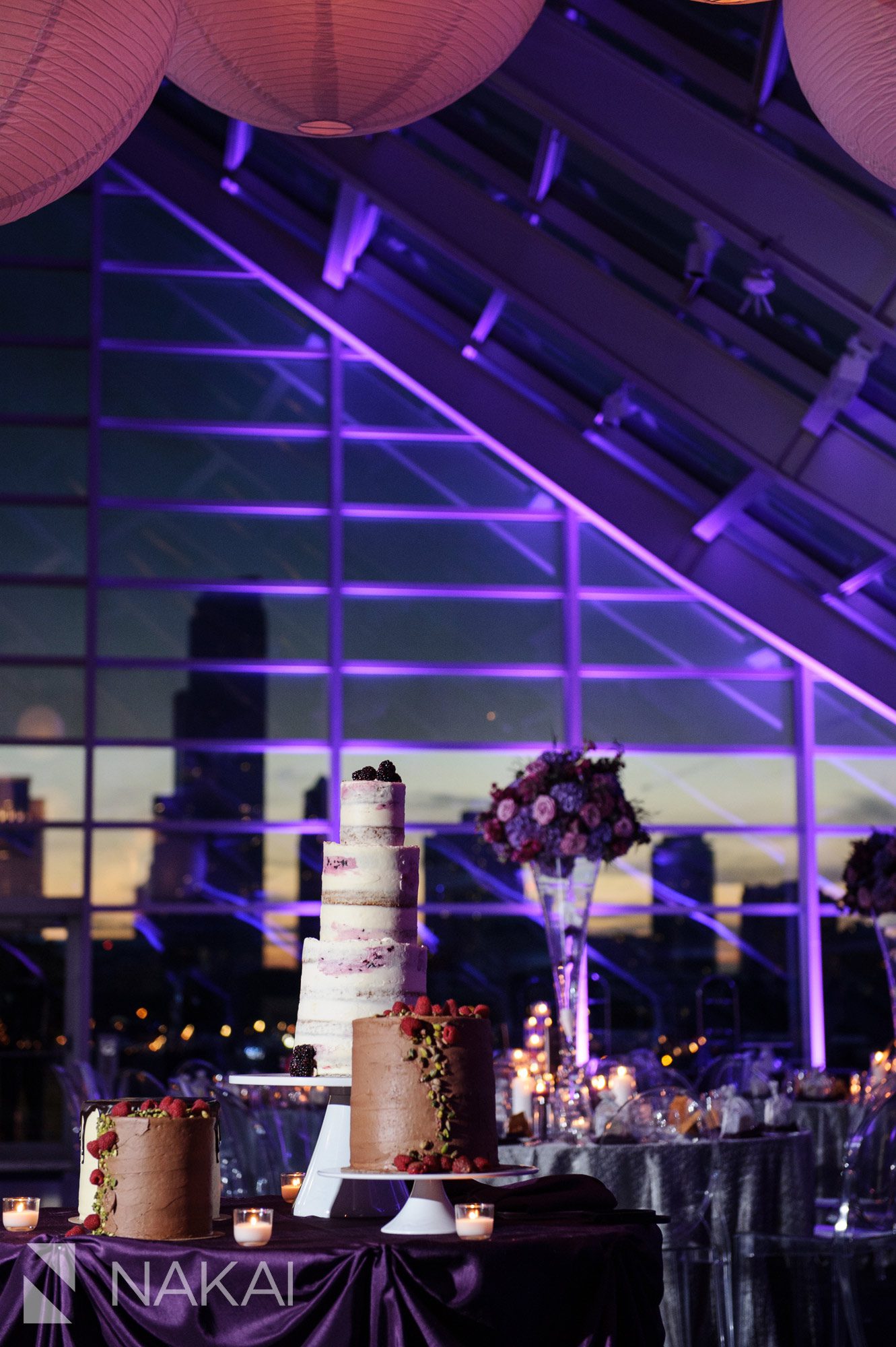 adler planetarium wedding photos