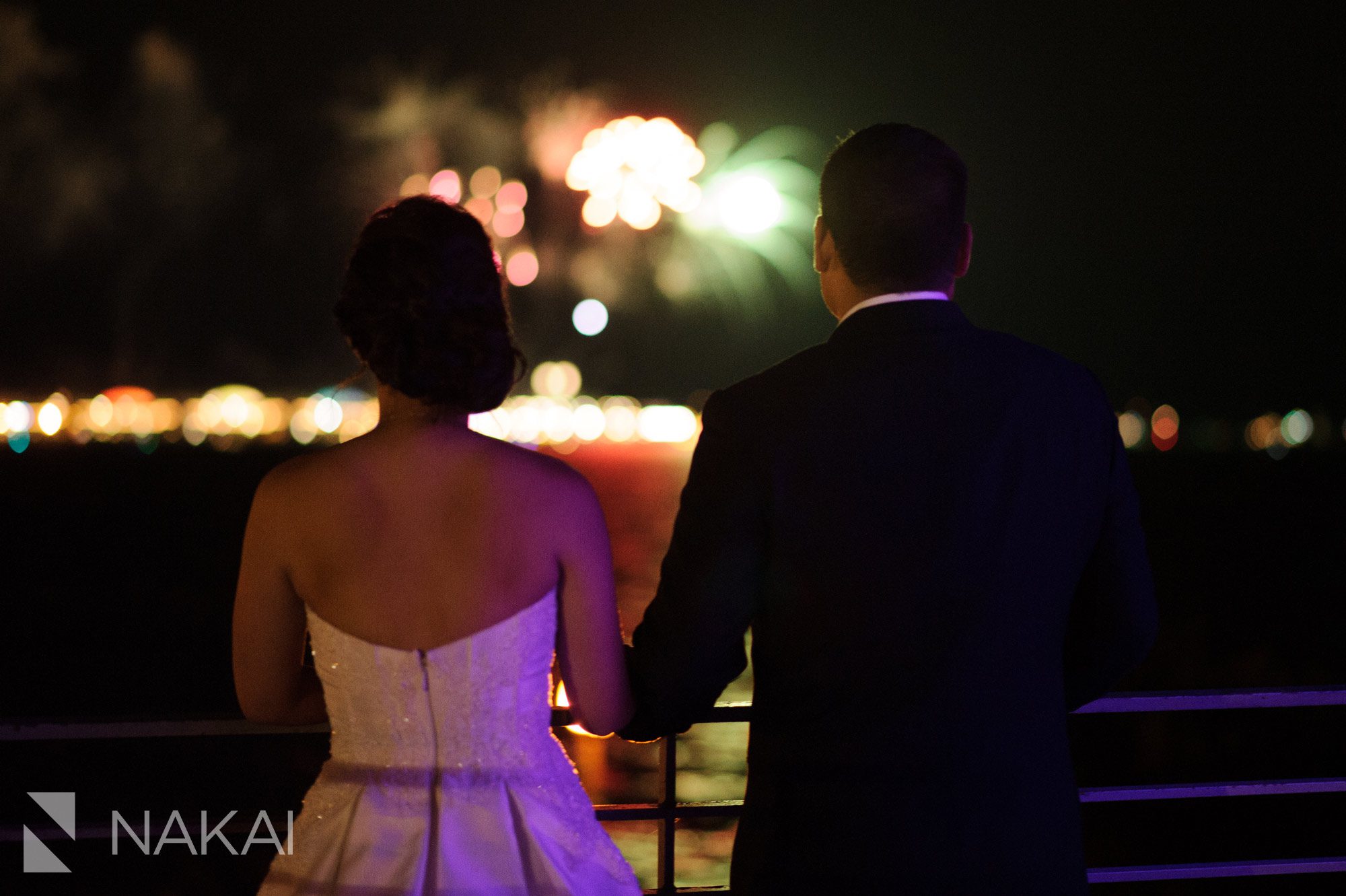 chicago wedding fireworks adler planetarium photos