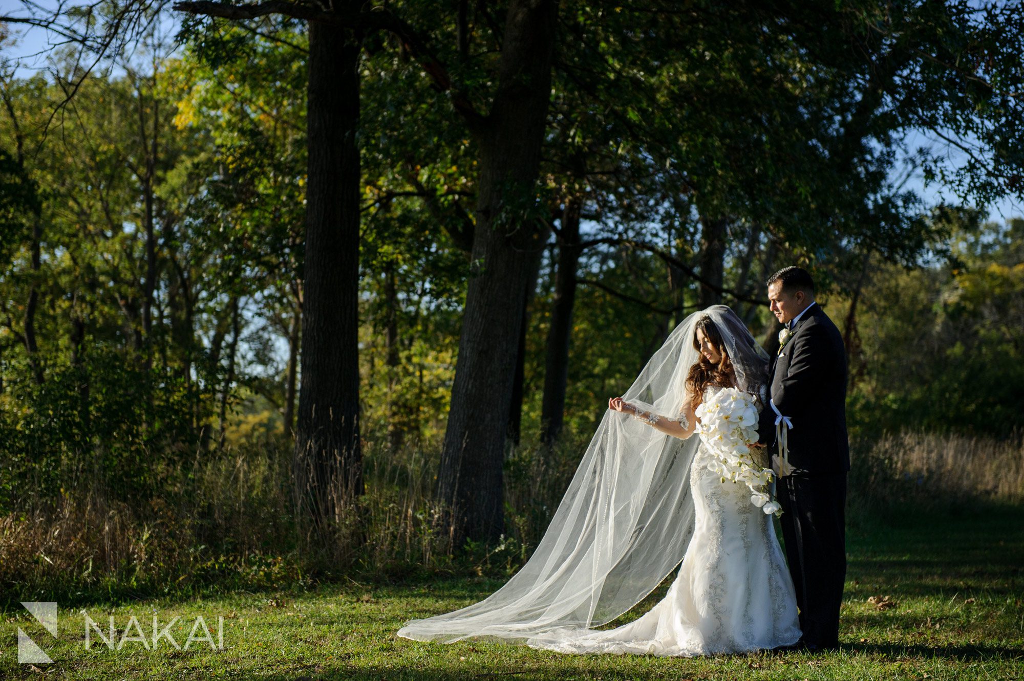 chicago forest preserve wedding photos fall colors