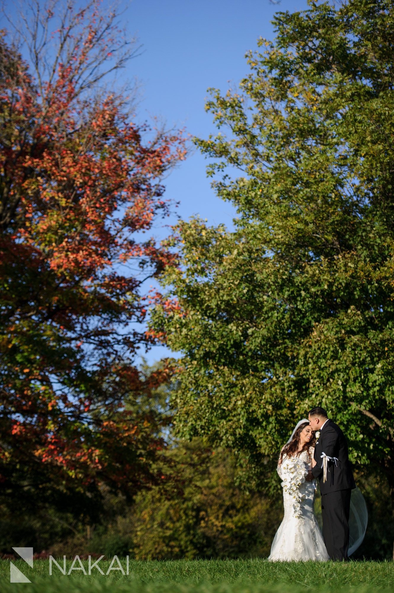 chicago forest preserve wedding photographer fall colors