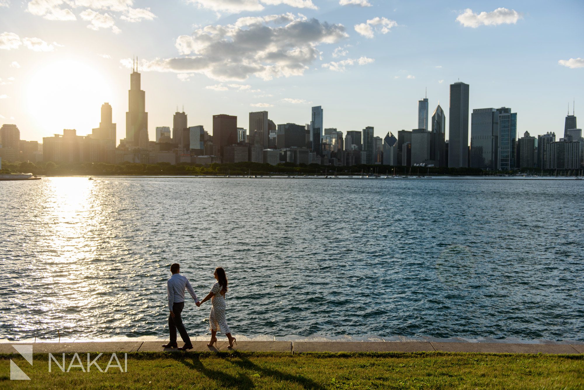 Adler best Chicago engagement picture spot