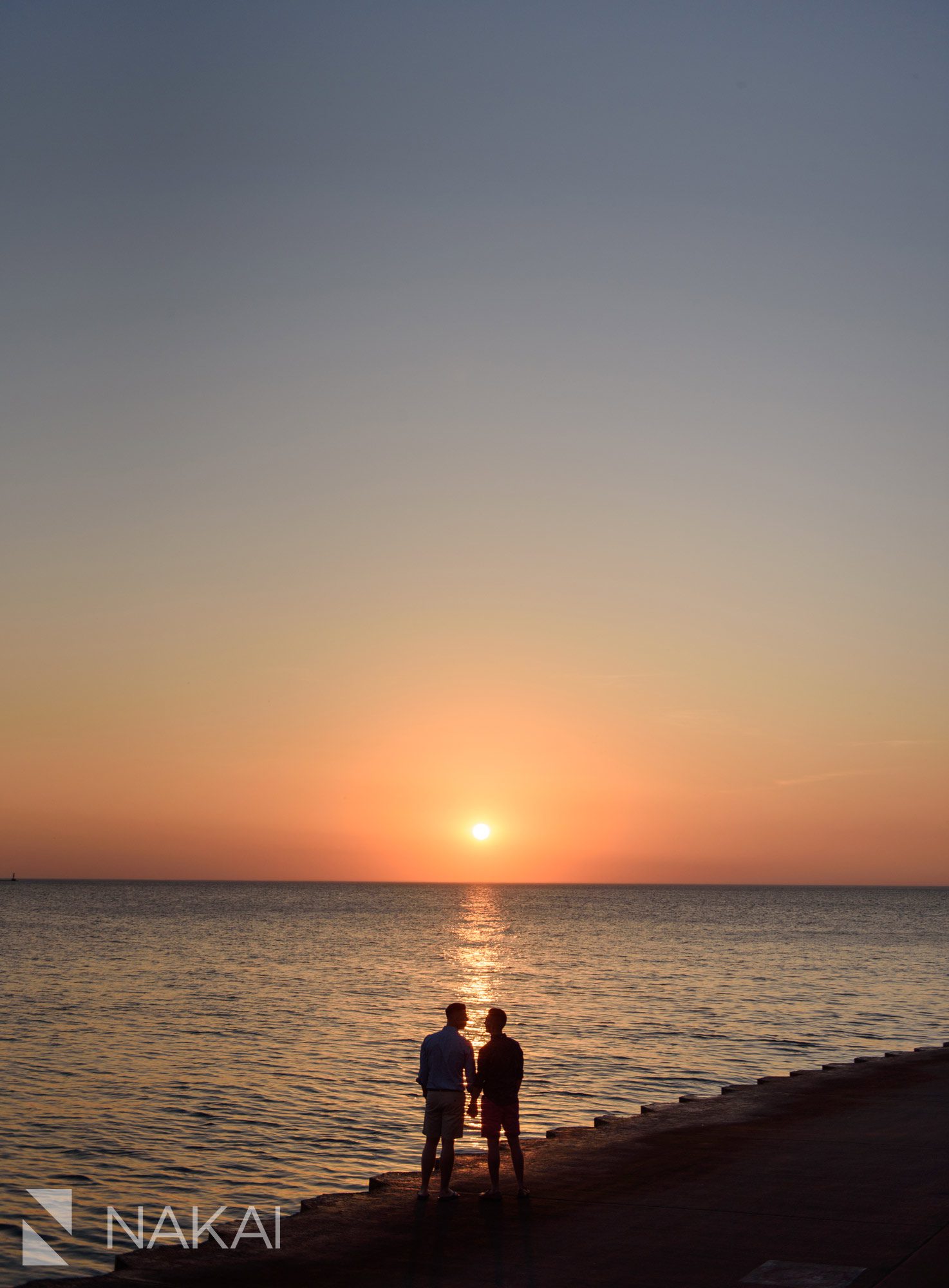 sunrise chicago engagment picture Adler planetarium