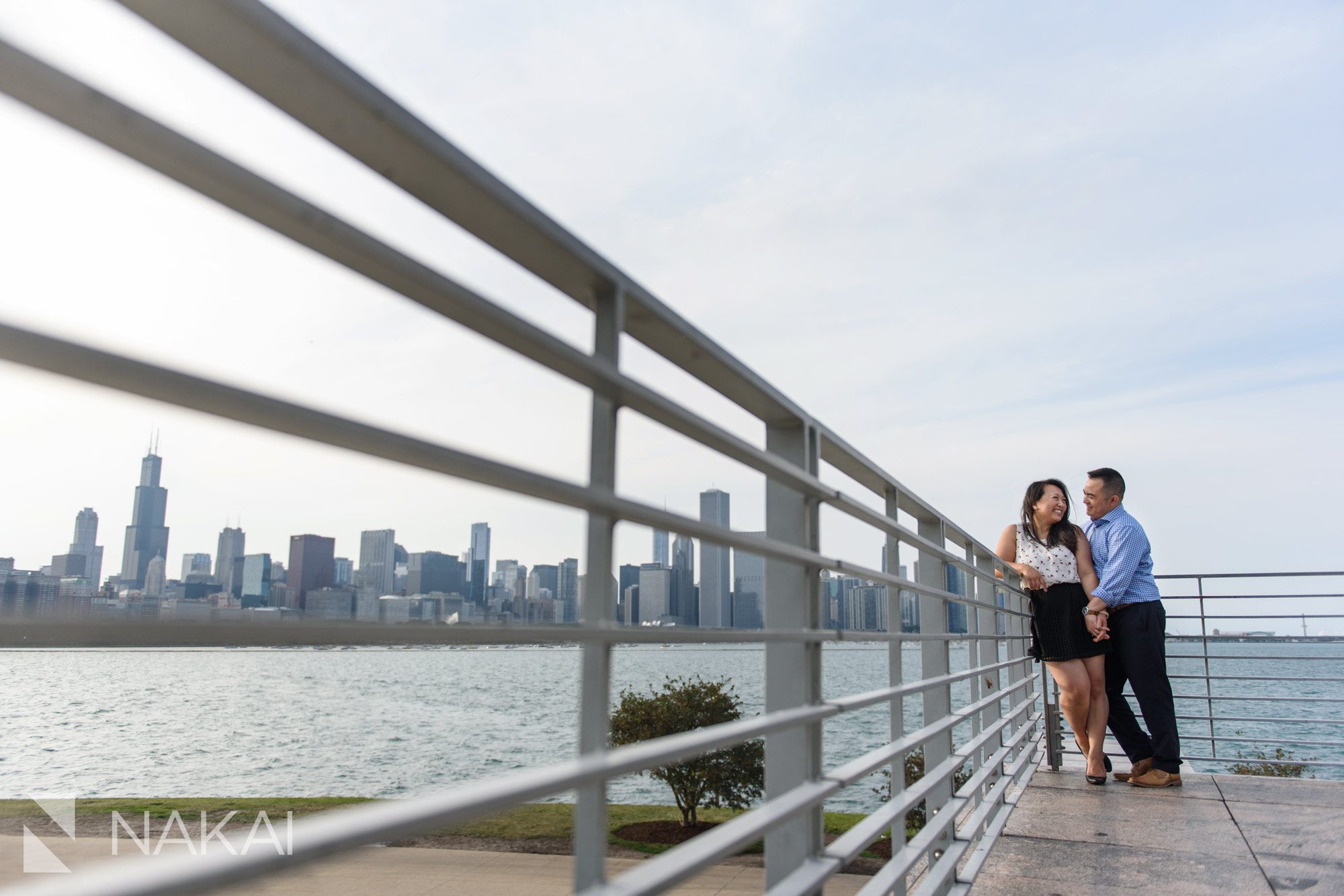 chicago engagement photographers ideas Adler planetarium