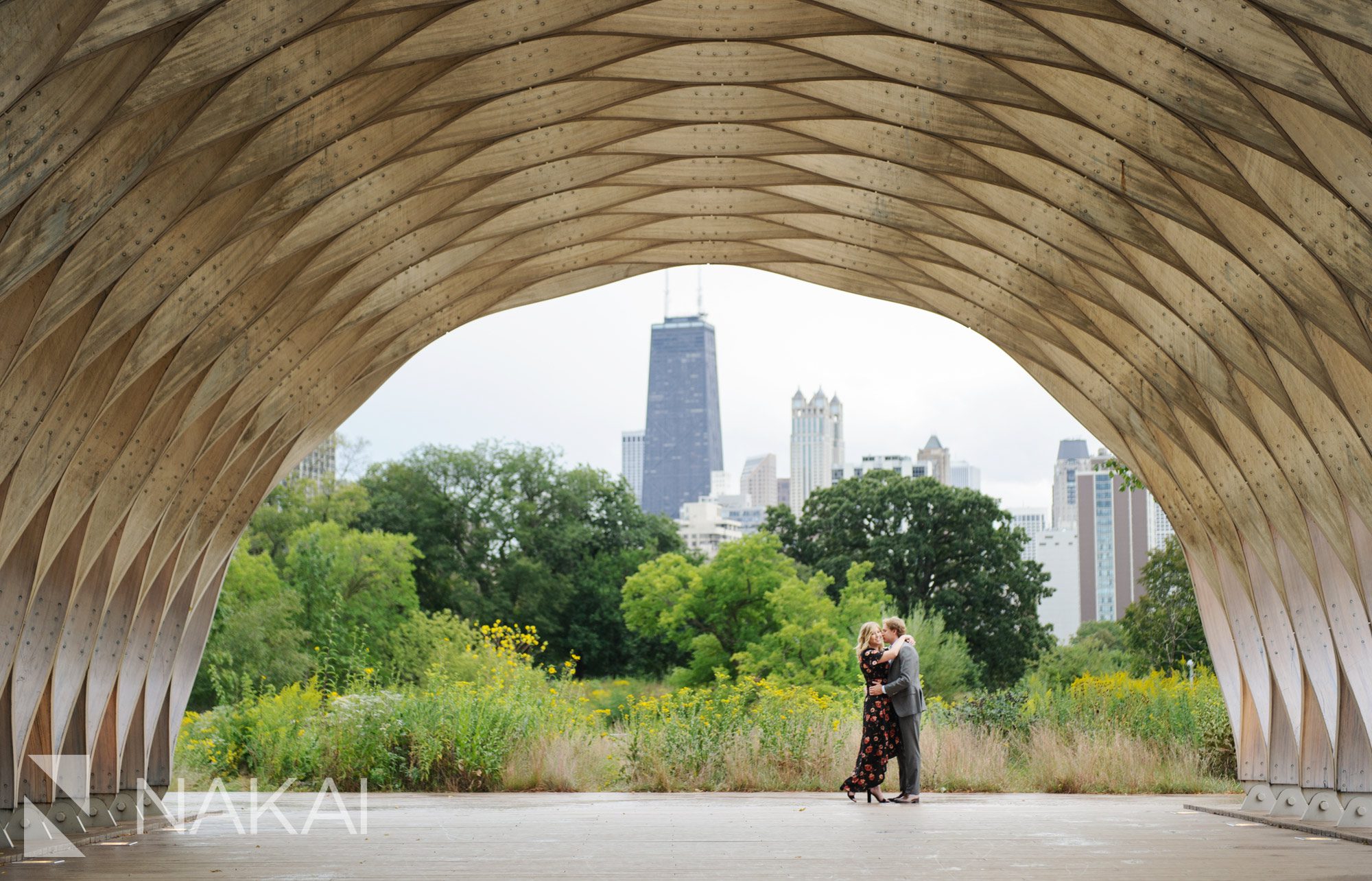 Chicago engagement locations pictures Lincoln park