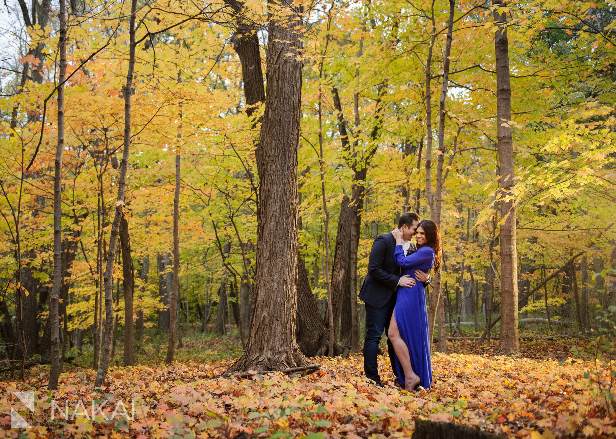 fall chicago engagement photos couple