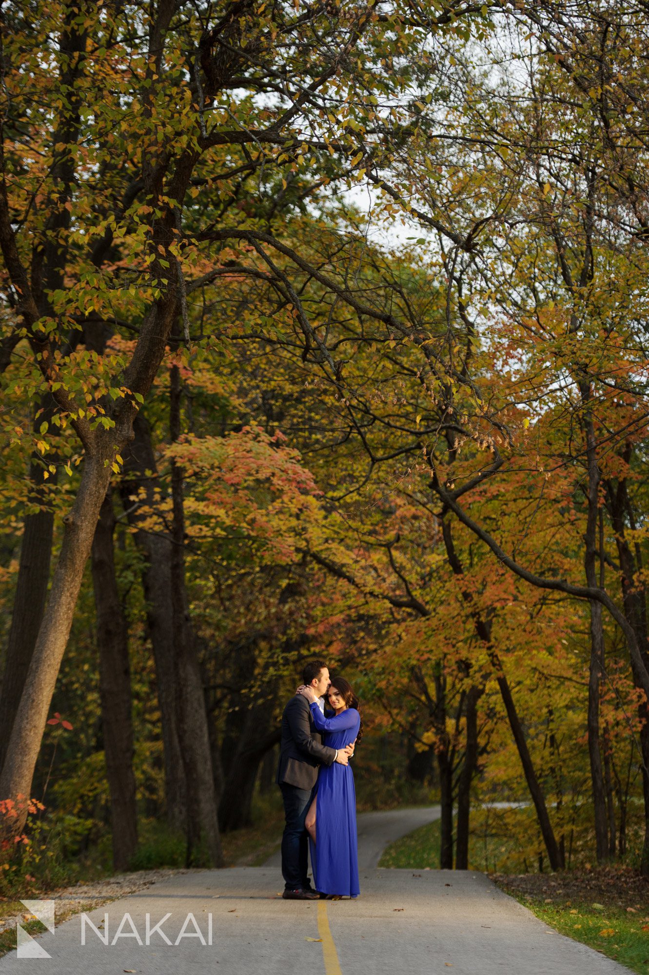 fall chicago engagement photos couple