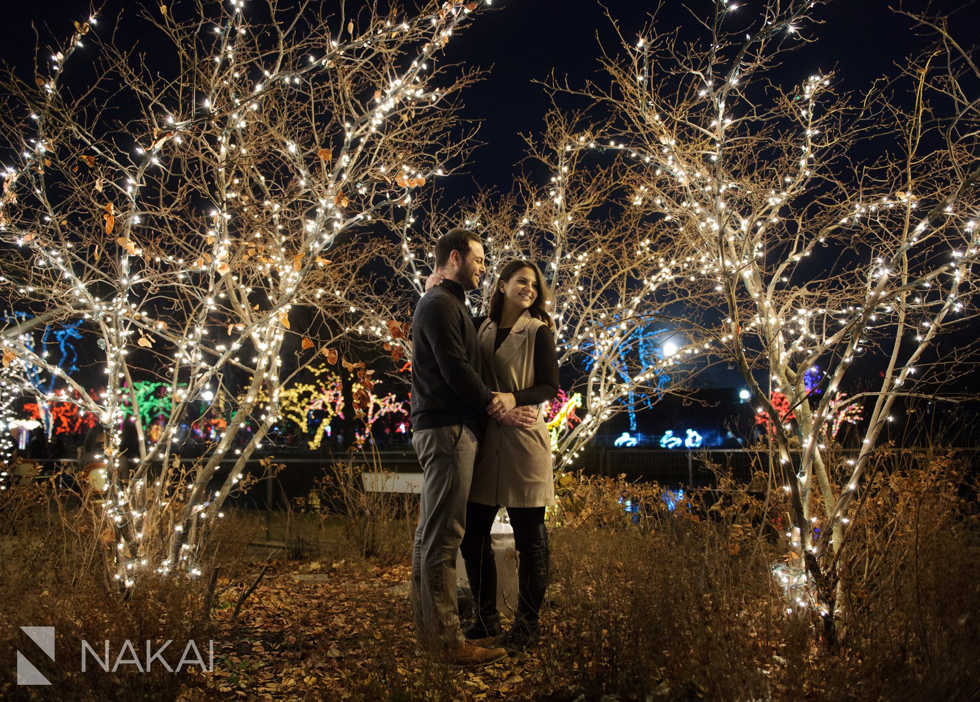  Chicago zoo lights engagement pictures