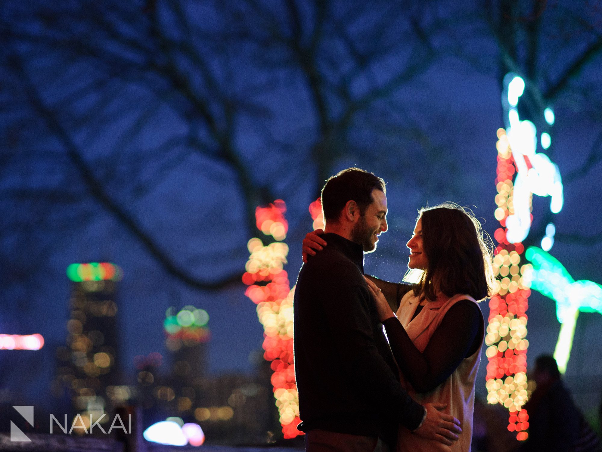 zoo lights Chicago engagement photos