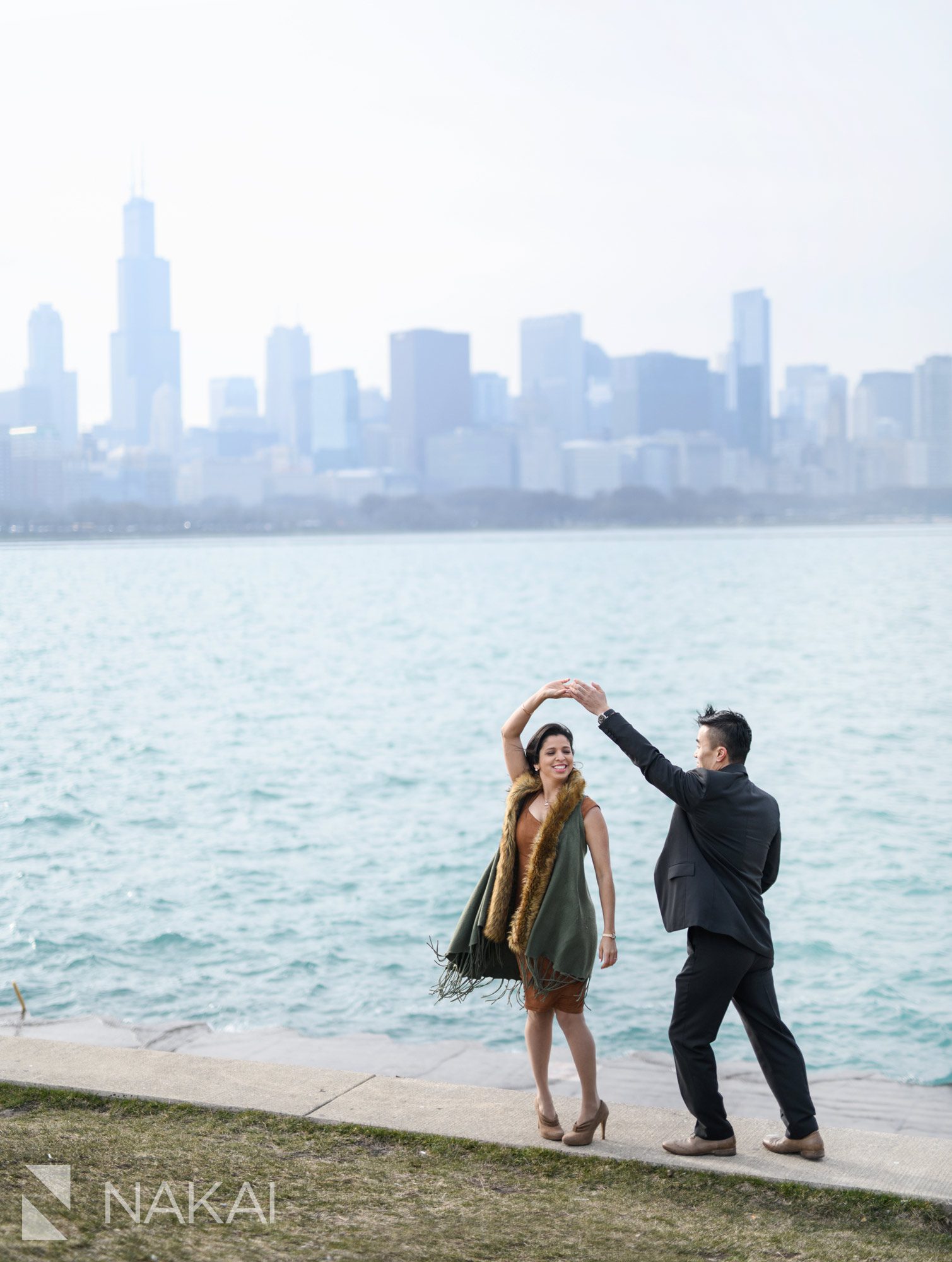 chicago skyline engagement image adler planetarium