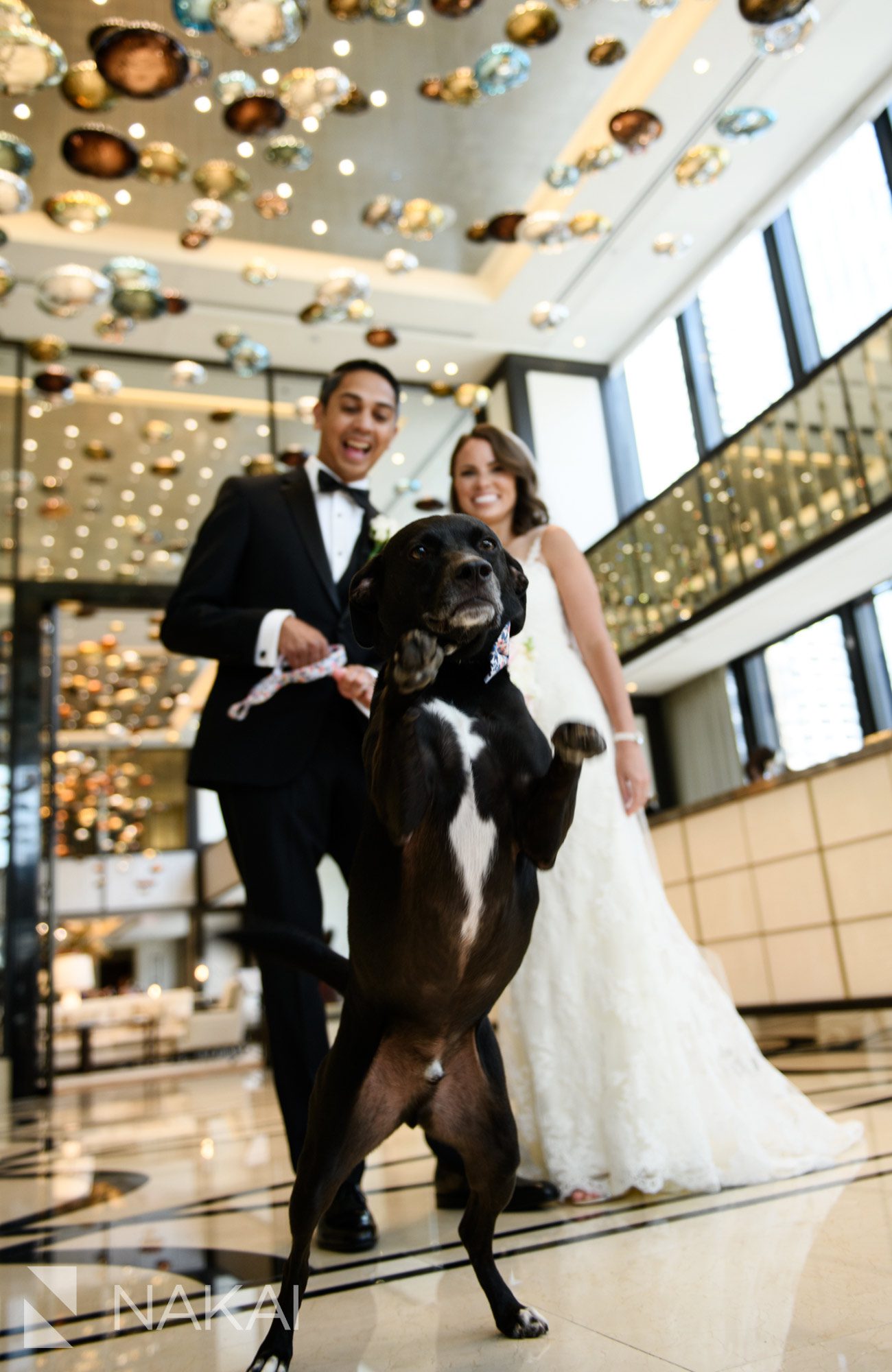 langham Chicago wedding pictures luxury bride groom