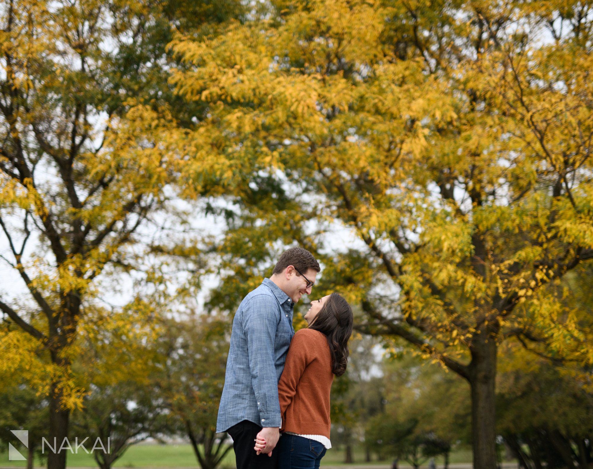 chicago Lincoln park engagement photo