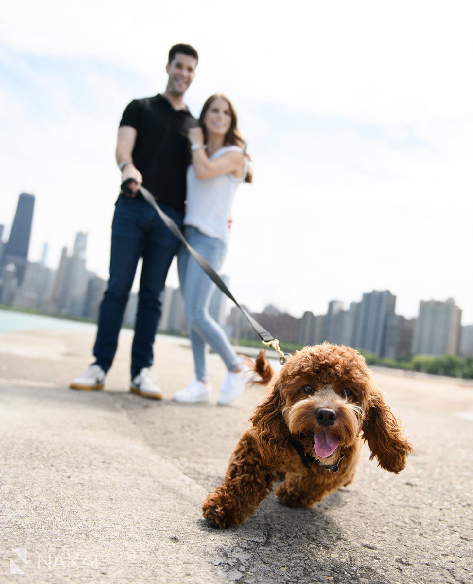 north avenue engagement picture best view of skyline w/dog