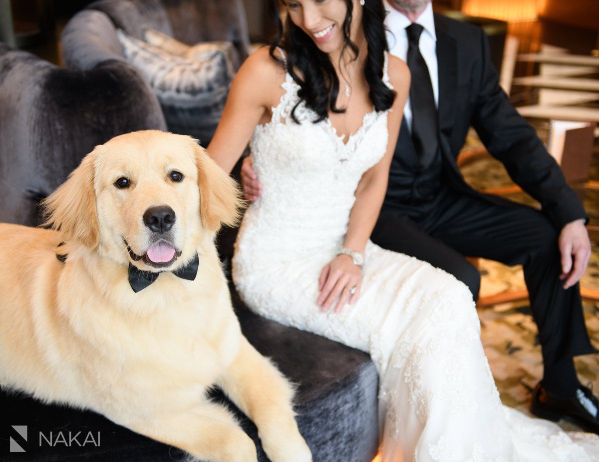 ritz Carlton Chicago wedding photo dog bride groom