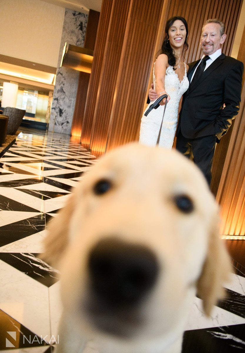 ritz Carlton Chicago wedding photo dog bride groom