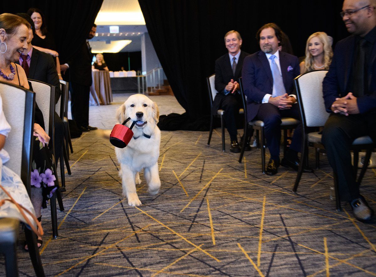 ritz Carlton Chicago wedding photo lakeside ceremony doggy